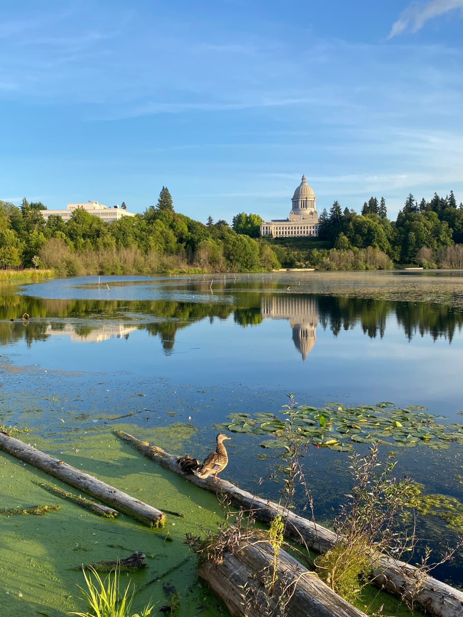 Washington State Capitol reflecting in Capitol Lake, Olympia โ Short Stop Electrical serves Thurston County